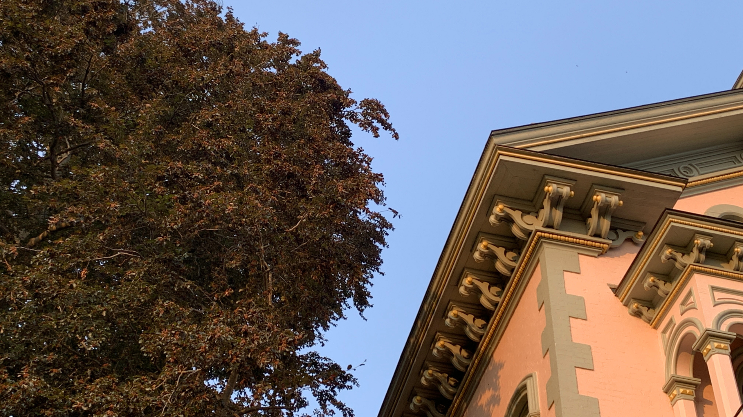 Photograph of the soffit details along the northwestern corner of the Richardson-Bates House Museum, with the copper beech tree in view. Taken at sunset.
